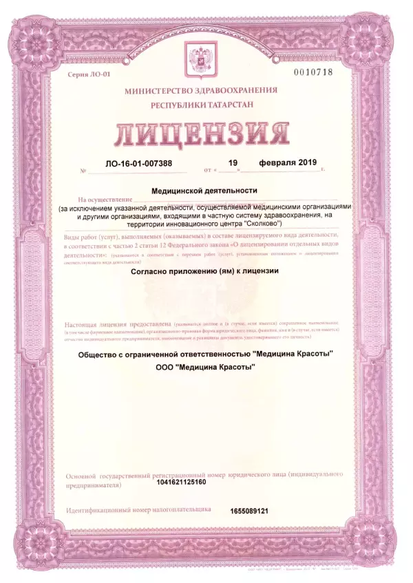 лицензия
